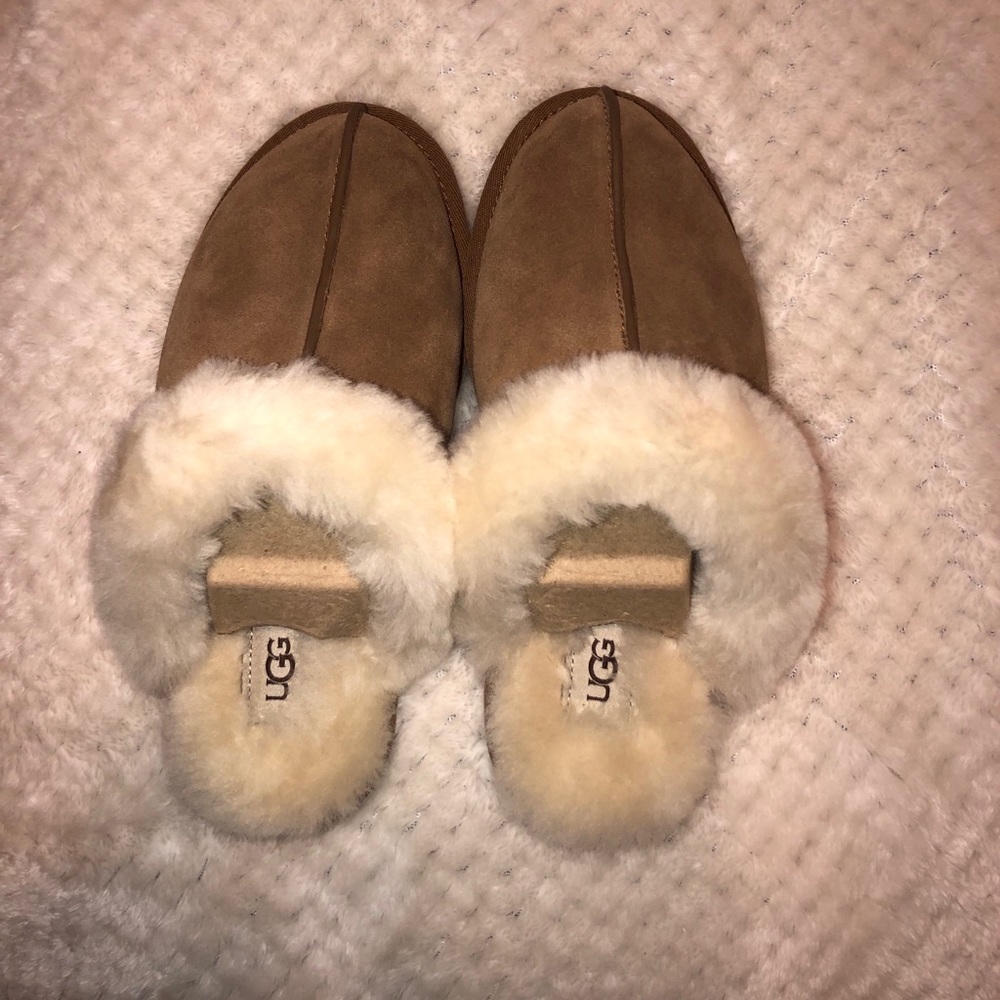 UGG slippers